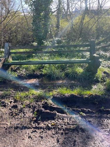 Bench on Carr Lane BEFORE area renovated