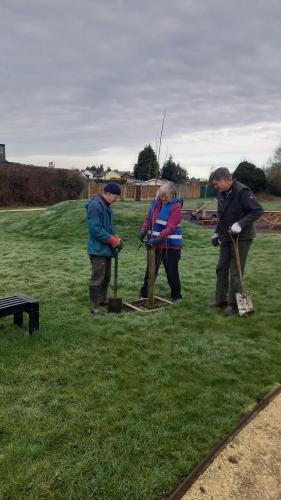 Parish Council Thanks Volunteers for Planting Trees on The Recreation Park Feb. 2024 